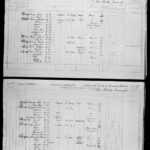 1871 Census of Canada