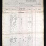 UK and Ireland, Incoming Passenger Lists, 1878-1960