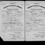 Immigration Records