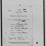 Birth Records