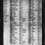 Birth Records