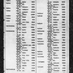 Birth Records