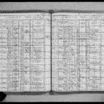 Census Records