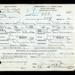 Birth Records